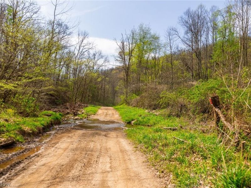 0 Twp Rd 63 Deans Fork Rd, Unit 4, Whipple, OH 45788 Photo 4