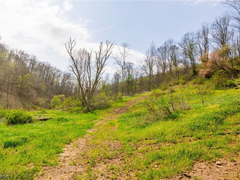 0 Twp Rd 63 Deans Fork Rd, Unit 4, Whipple, OH 45788 Photo 6