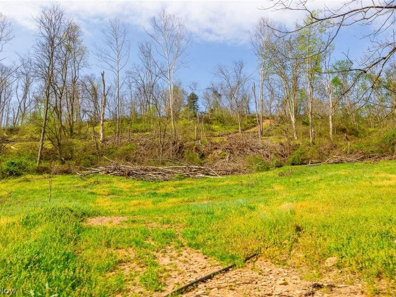 0 Twp Rd 63 Deans Fork Rd, Unit 4, Whipple, OH 45788 Photo 7