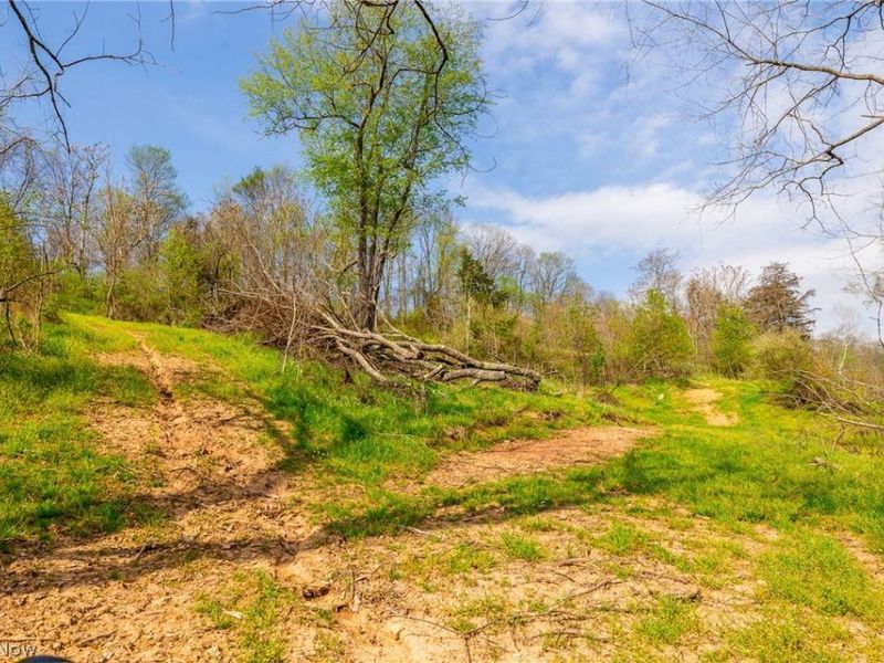 0 Twp Rd 63 Deans Fork Rd, Unit 4, Whipple, OH 45788 Photo 8