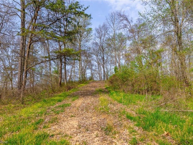 0 Twp Rd 63 Deans Fork Rd, Unit 4, Whipple, OH 45788 Photo 9