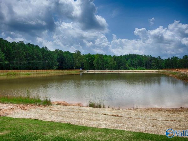 19934 Plymouth Drive, Athens, AL 35611