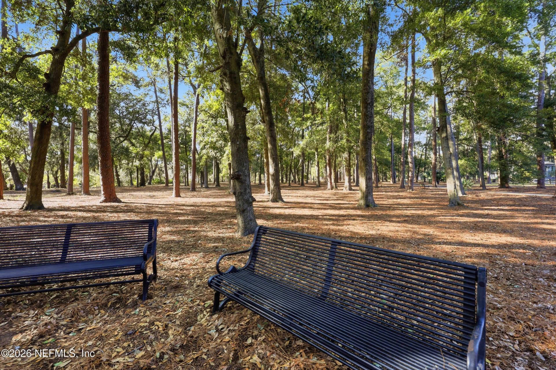 1616 Mallory Street, Jacksonville, FL 32205 Photo