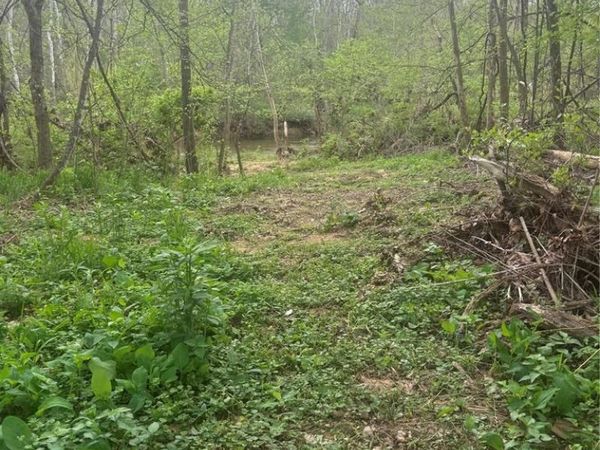1542 Madison 233 , Marquand, MO 63655