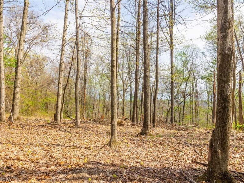 0 Twp Rd 63 Deans Fork Rd, Unit 5, Whipple, OH 45788 Photo 10