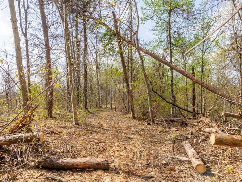 0 Twp Rd 63 Deans Fork Rd, Unit 5, Whipple, OH 45788 Photo 11