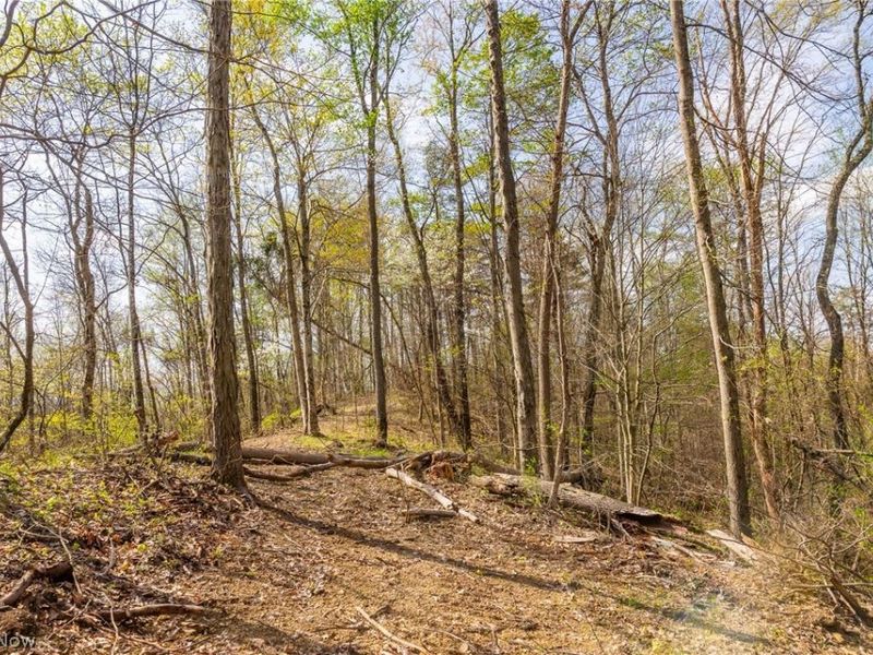 0 Twp Rd 63 Deans Fork Rd, Unit 5, Whipple, OH 45788 Photo 12
