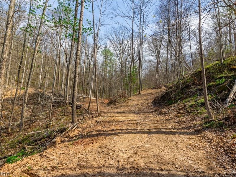 0 Twp Rd 63 Deans Fork Rd, Unit 5, Whipple, OH 45788 Photo 3