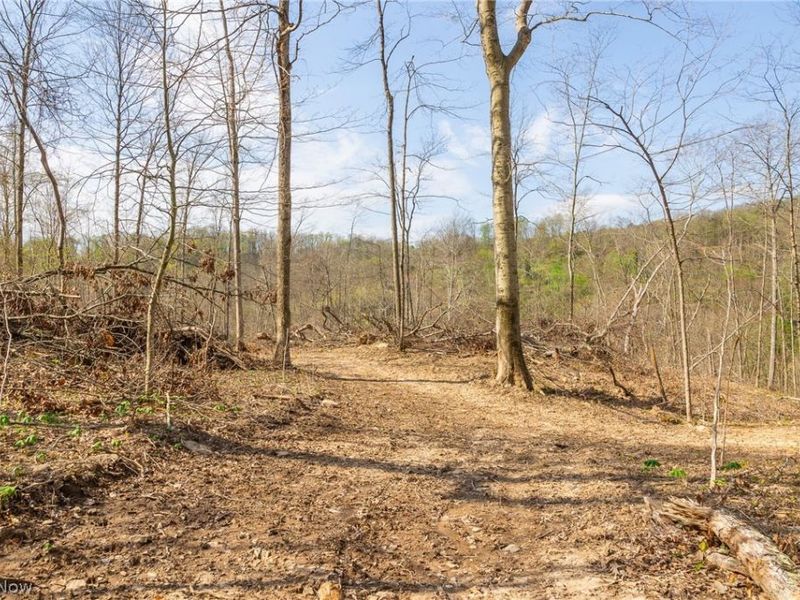 0 Twp Rd 63 Deans Fork Rd, Unit 5, Whipple, OH 45788 Photo 4