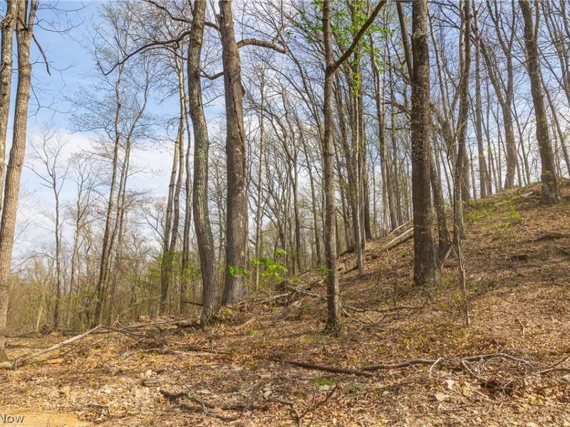0 Twp Rd 63 Deans Fork Rd, Unit 5, Whipple, OH 45788 Photo 5