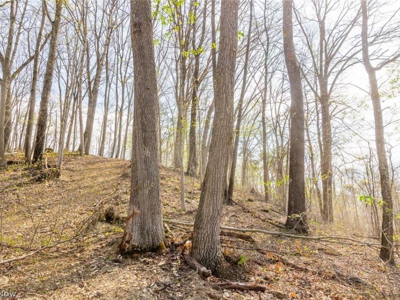 0 Twp Rd 63 Deans Fork Rd, Unit 5, Whipple, OH 45788 Photo 6