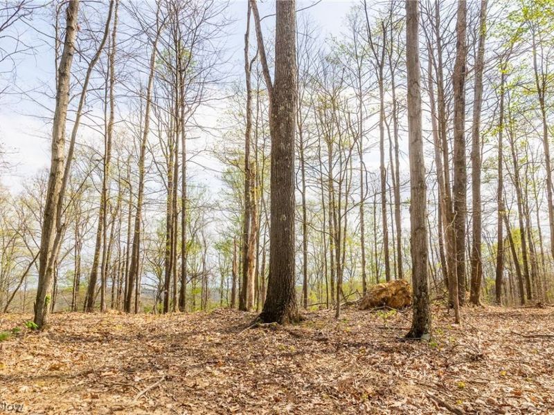 0 Twp Rd 63 Deans Fork Rd, Unit 5, Whipple, OH 45788 Photo 7
