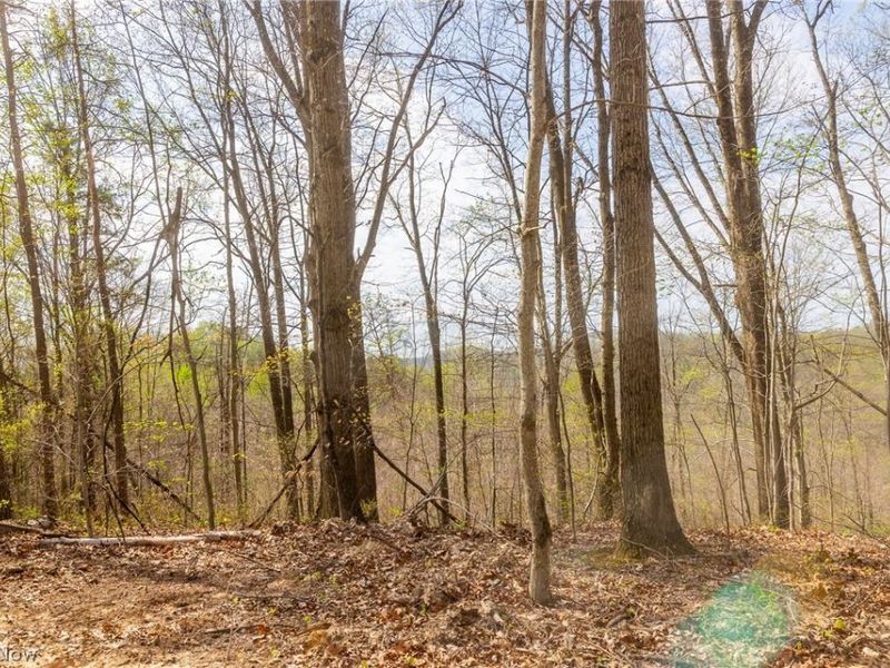 0 Twp Rd 63 Deans Fork Rd, Unit 5, Whipple, OH 45788 Photo 8