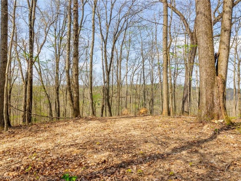 0 Twp Rd 63 Deans Fork Rd, Unit 5, Whipple, OH 45788 Photo 9