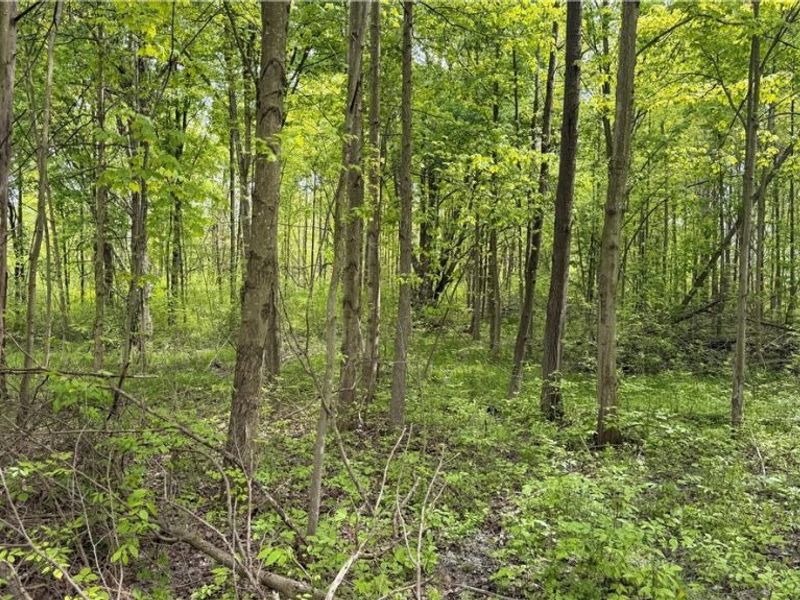 Youngstown Kingsville Road, Warren, OH 44473 Photo 1