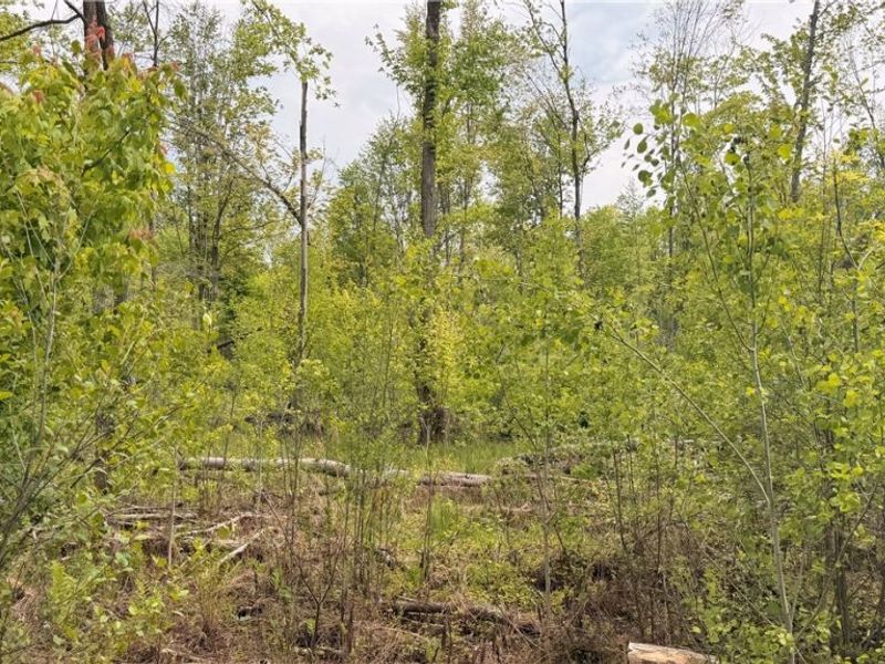 Youngstown Kingsville Road, Warren, OH 44473 Photo 11