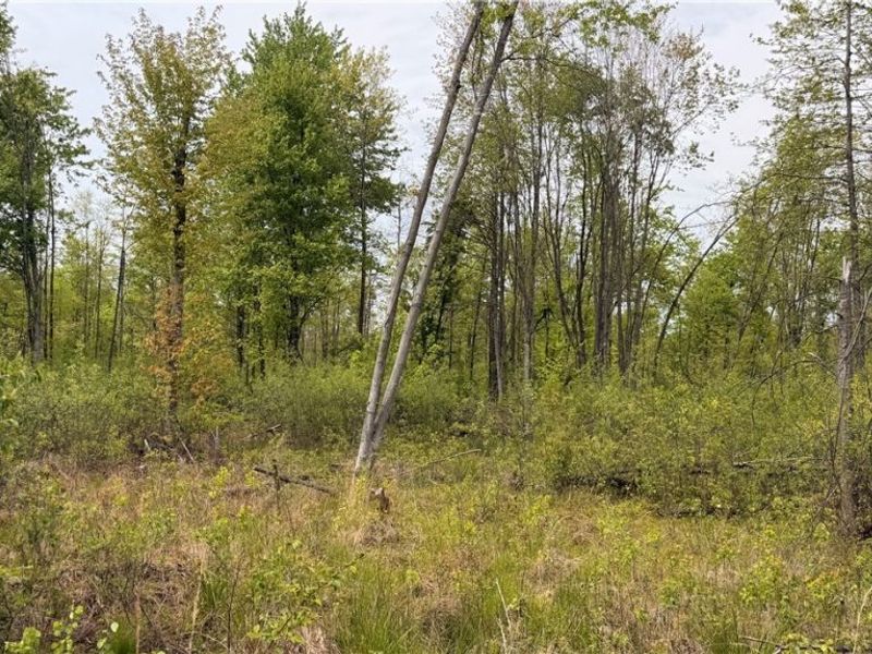 Youngstown Kingsville Road, Warren, OH 44473 Photo 12