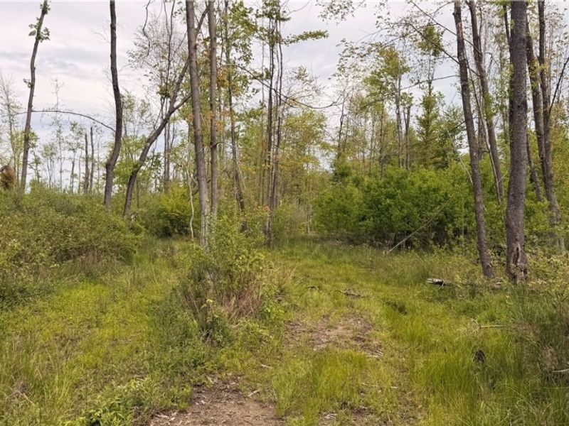 Youngstown Kingsville Road, Warren, OH 44473 Photo 13