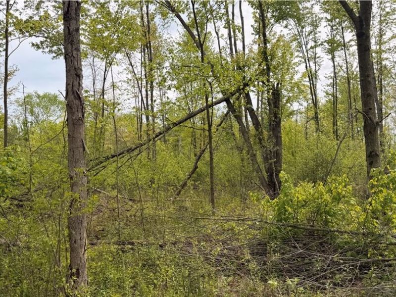 Youngstown Kingsville Road, Warren, OH 44473 Photo 15