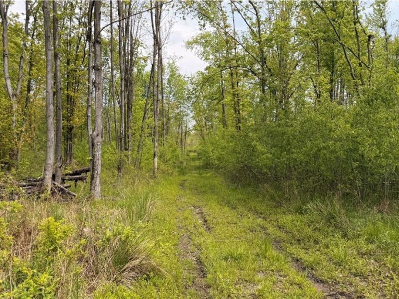 Youngstown Kingsville Road, Warren, OH 44473 Photo 16