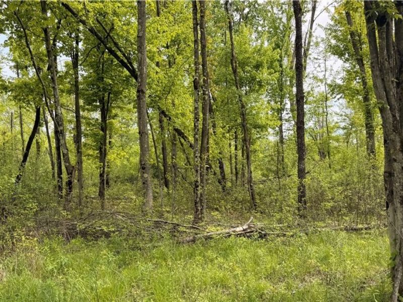 Youngstown Kingsville Road, Warren, OH 44473 Photo 17
