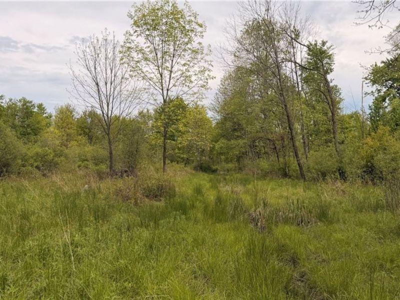 Youngstown Kingsville Road, Warren, OH 44473 Photo 18