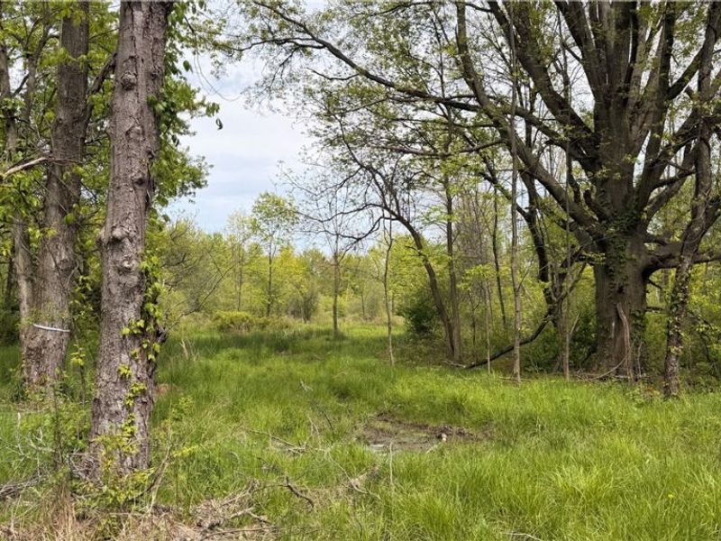 Youngstown Kingsville Road, Warren, OH 44473 Photo 19