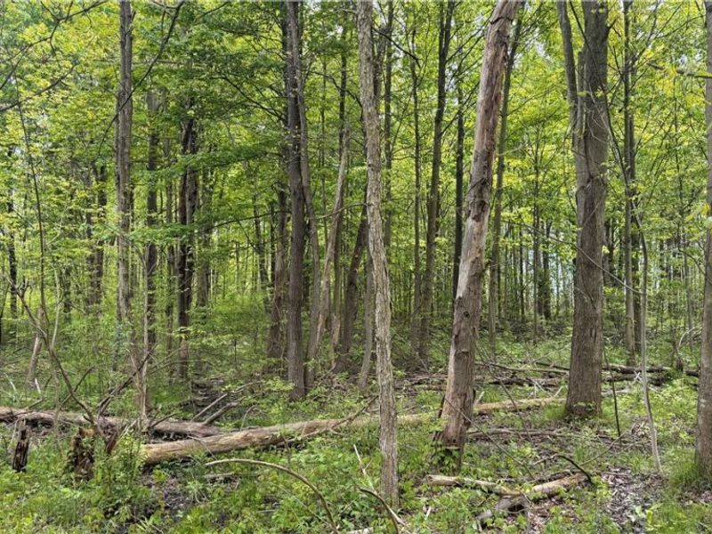 Youngstown Kingsville Road, Warren, OH 44473 Photo 2