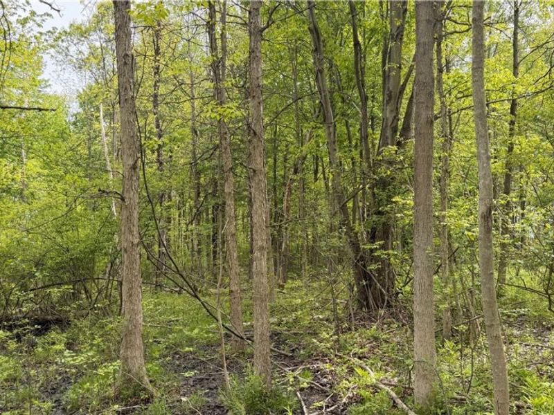 Youngstown Kingsville Road, Warren, OH 44473 Photo 3