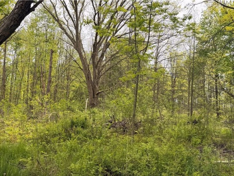 Youngstown Kingsville Road, Warren, OH 44473 Photo 4