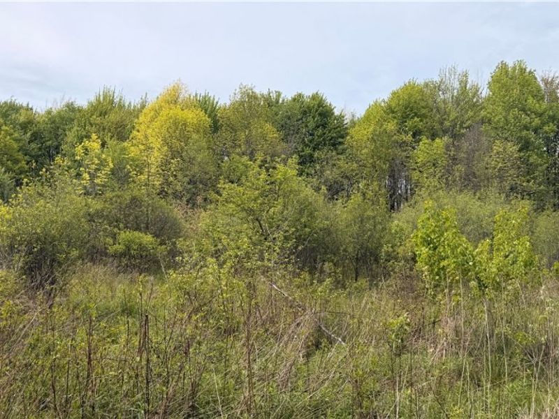 Youngstown Kingsville Road, Warren, OH 44473 Photo 5