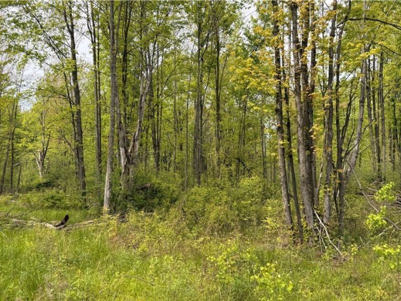 Youngstown Kingsville Road, Warren, OH 44473 Photo 6