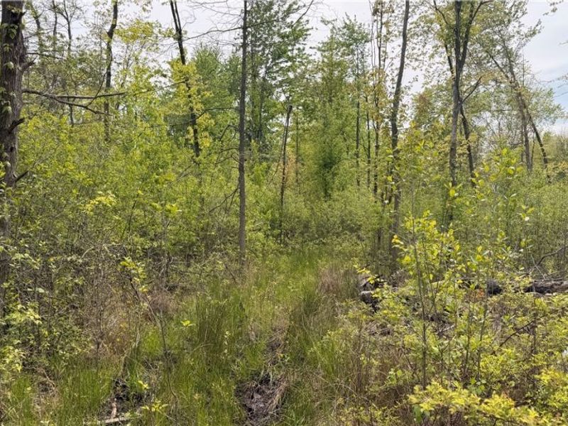 Youngstown Kingsville Road, Warren, OH 44473 Photo 7