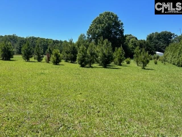 Tbd Shady Acres Drive Photo 4