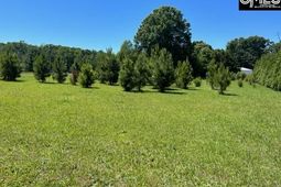 Tbd Shady Acres Drive photo 4