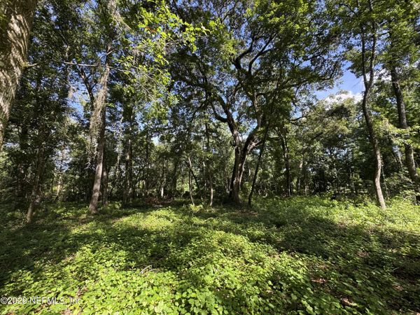 241 INDIAN LAKES FOREST Road, Florahome, FL 32140