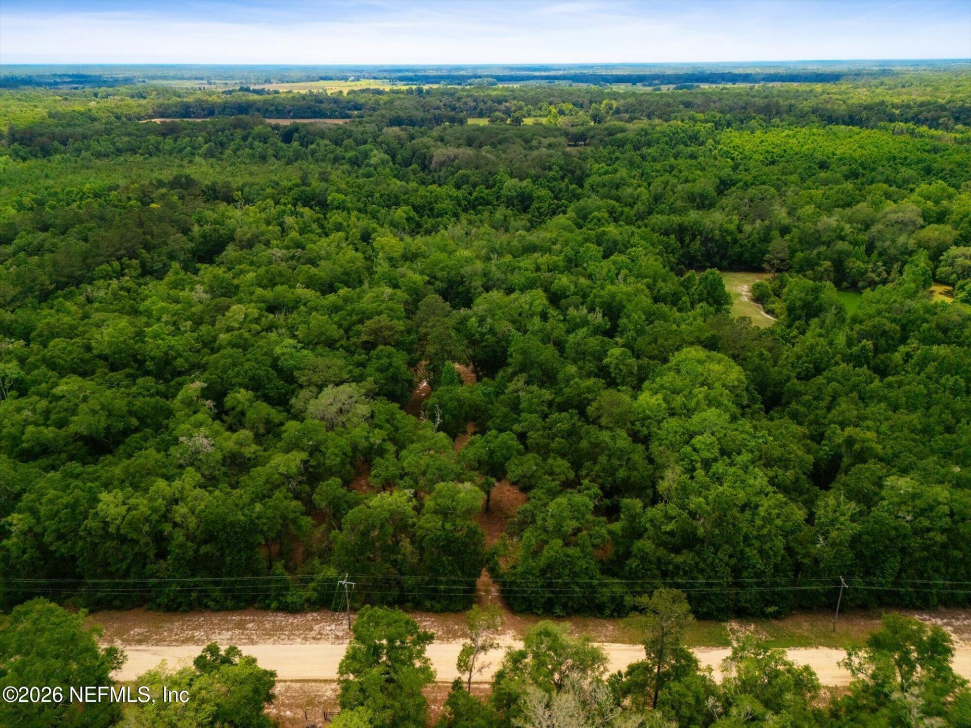241 Indian Lakes Forest Road, Florahome, FL 32140 Photo