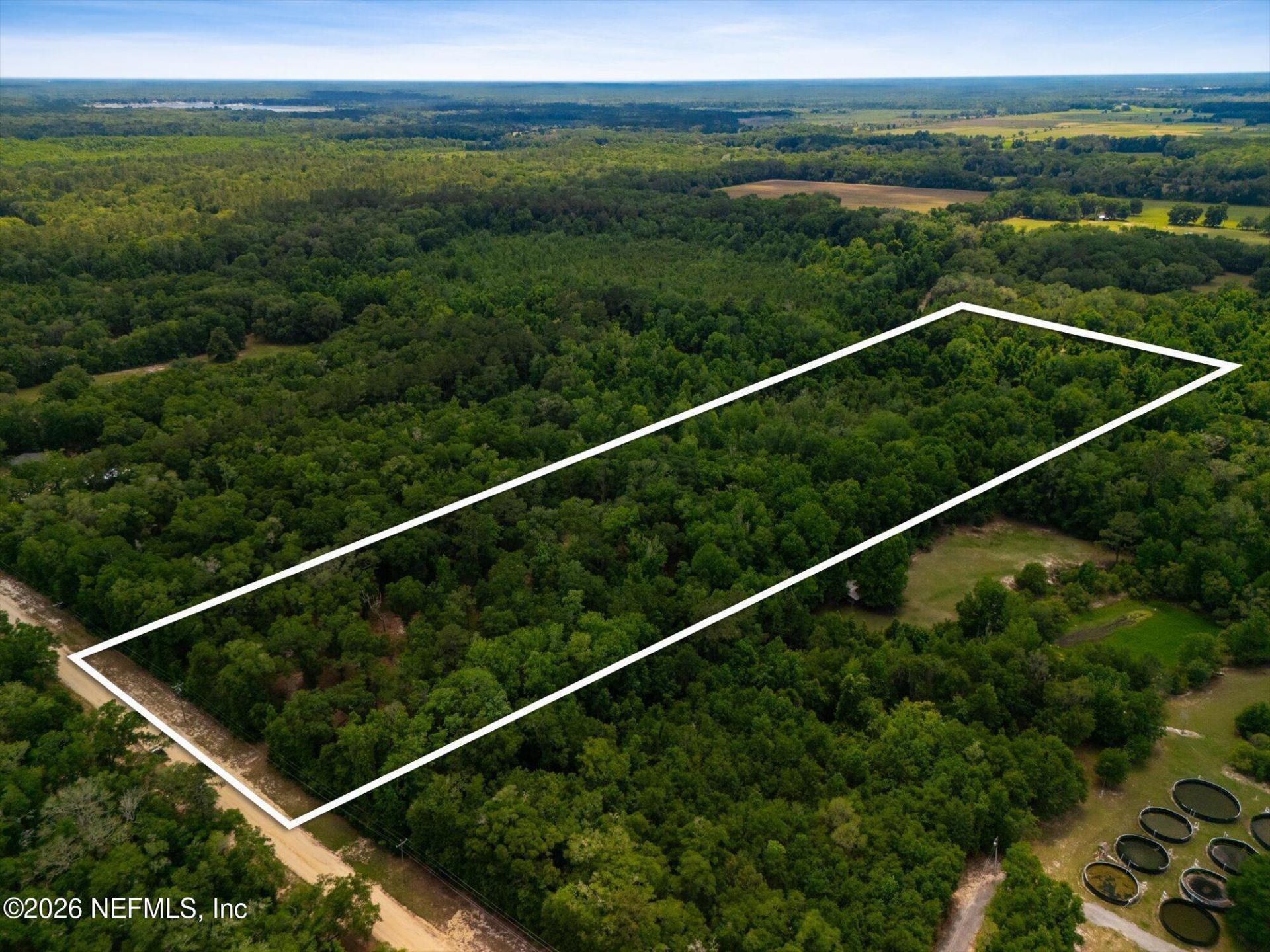 241 Indian Lakes Forest Road, Florahome, FL 32140 Photo