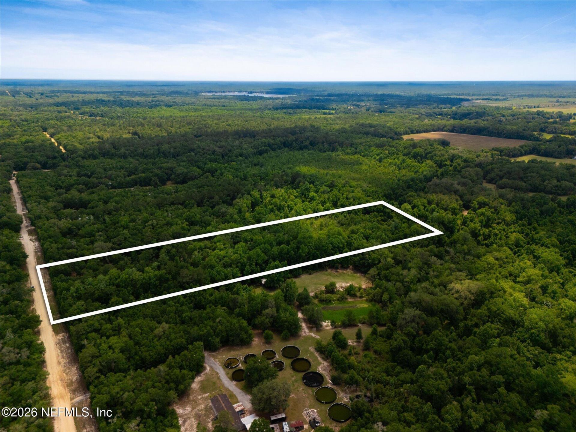 241 Indian Lakes Forest Road, Florahome, FL 32140 Photo