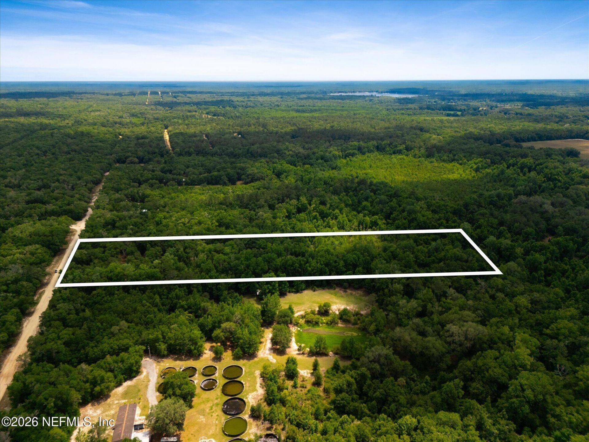 241 Indian Lakes Forest Road, Florahome, FL 32140 Photo
