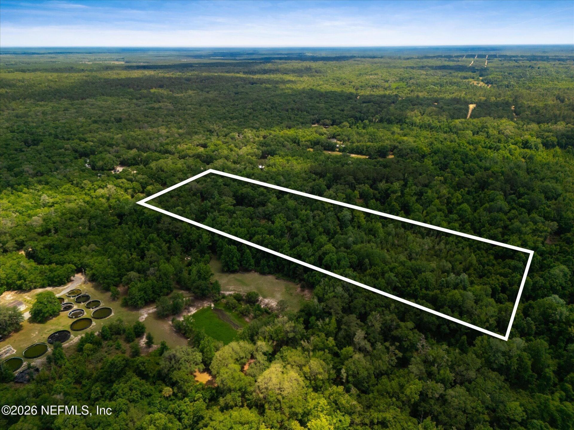 241 Indian Lakes Forest Road, Florahome, FL 32140 Photo