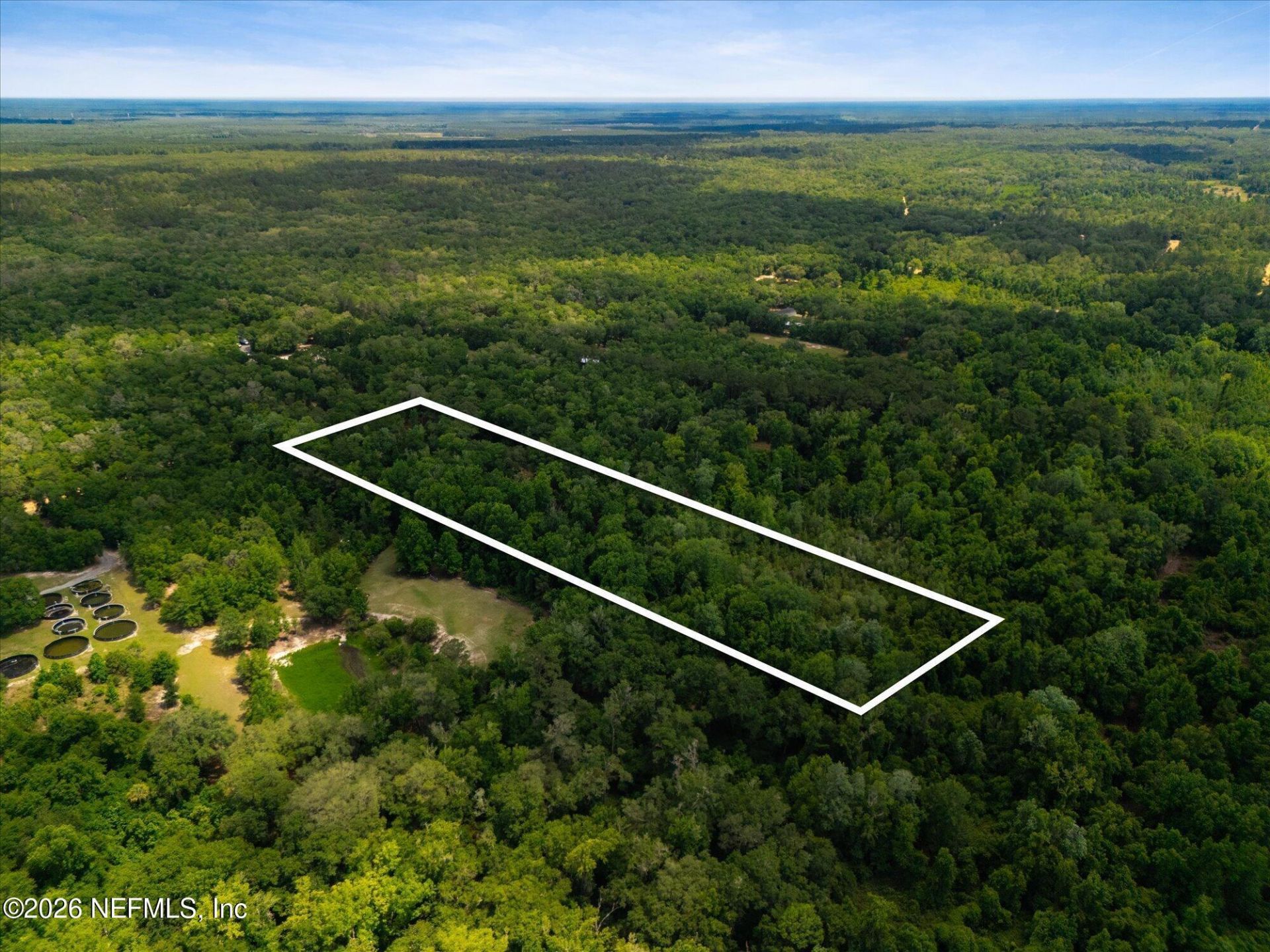 241 Indian Lakes Forest Road, Florahome, FL 32140 Photo