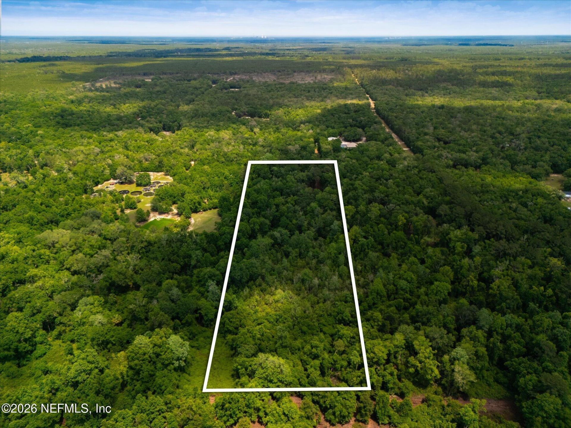 241 Indian Lakes Forest Road, Florahome, FL 32140 Photo