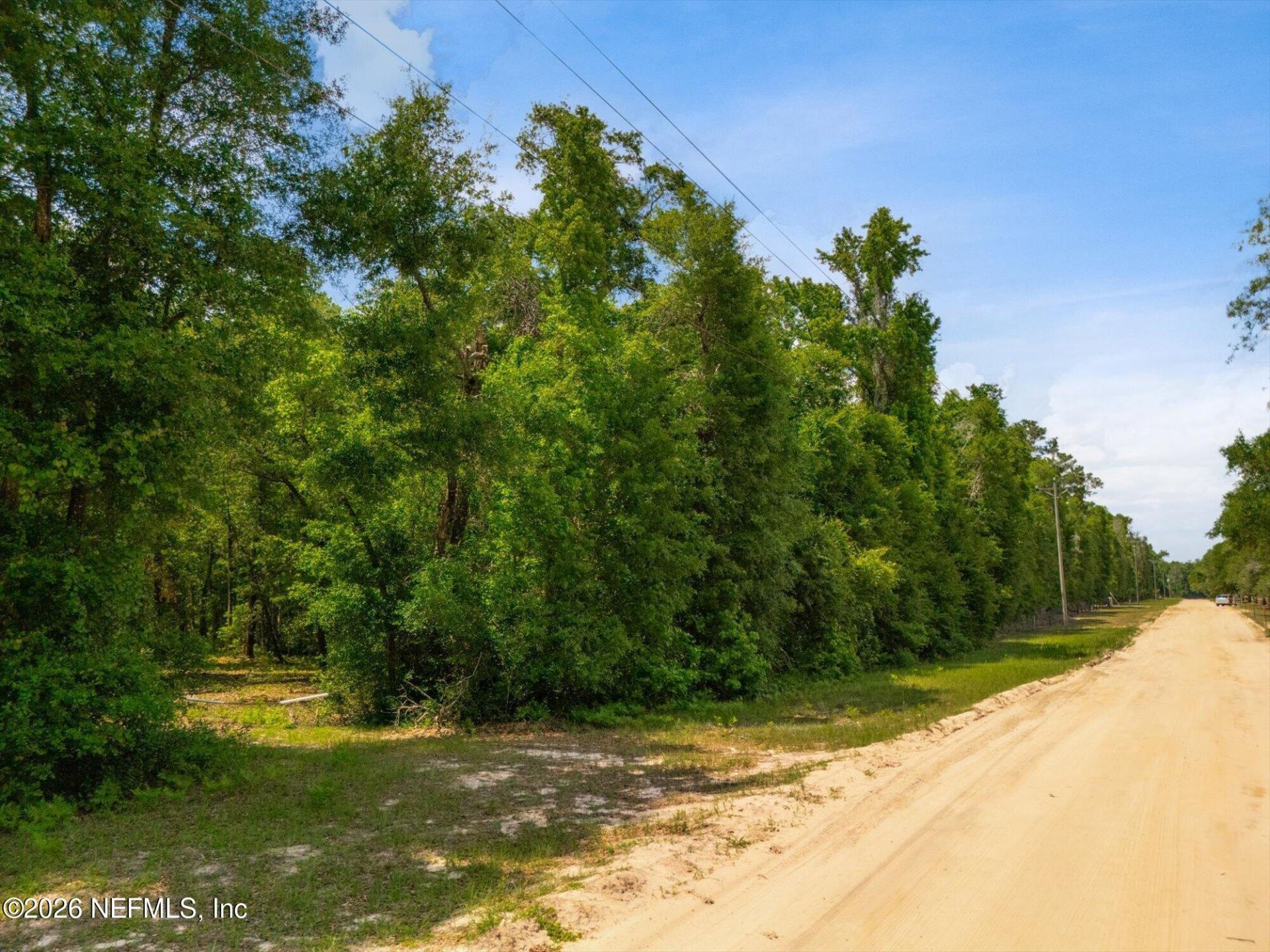 241 Indian Lakes Forest Road, Florahome, FL 32140 Photo