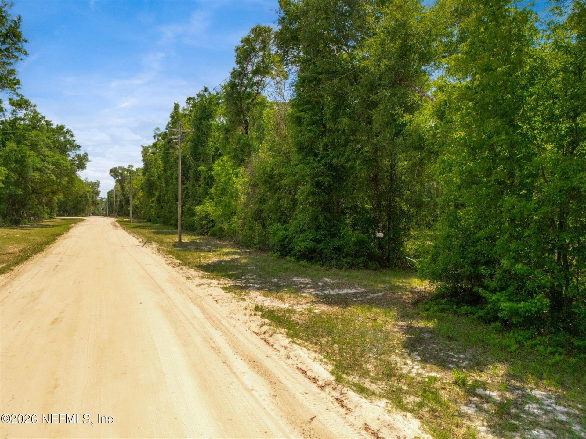 241 Indian Lakes Forest Road, Florahome, FL 32140 Photo