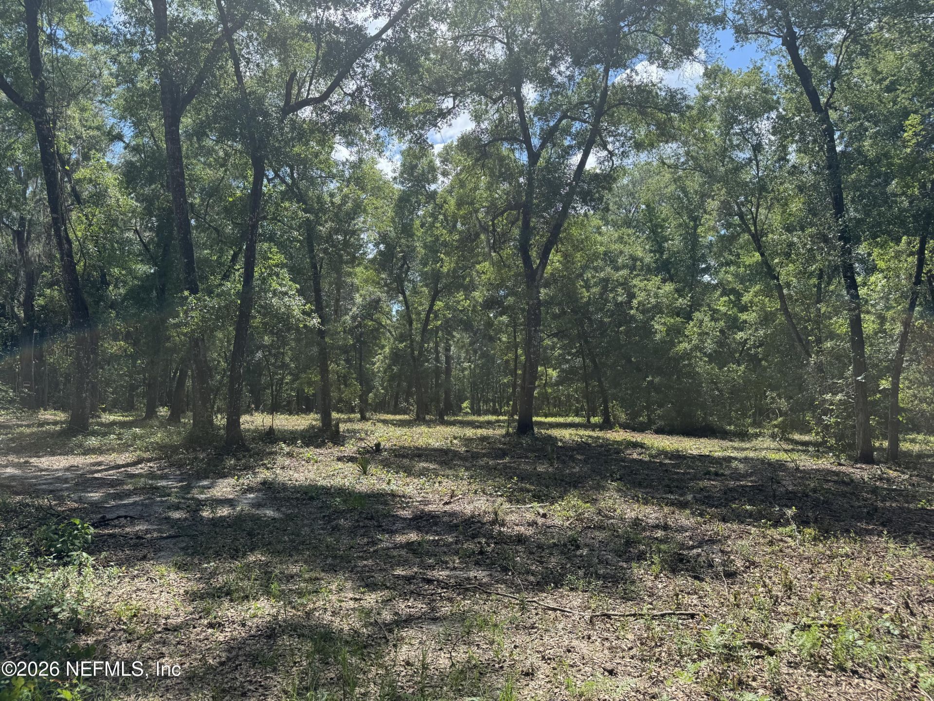 241 Indian Lakes Forest Road, Florahome, FL 32140 Photo