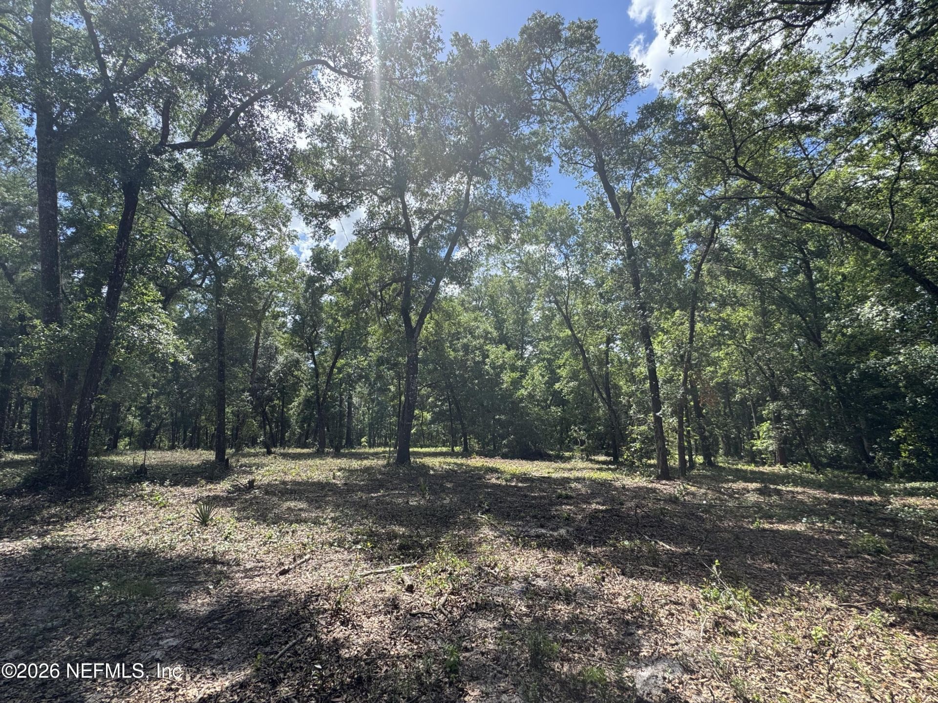 241 Indian Lakes Forest Road, Florahome, FL 32140 Photo