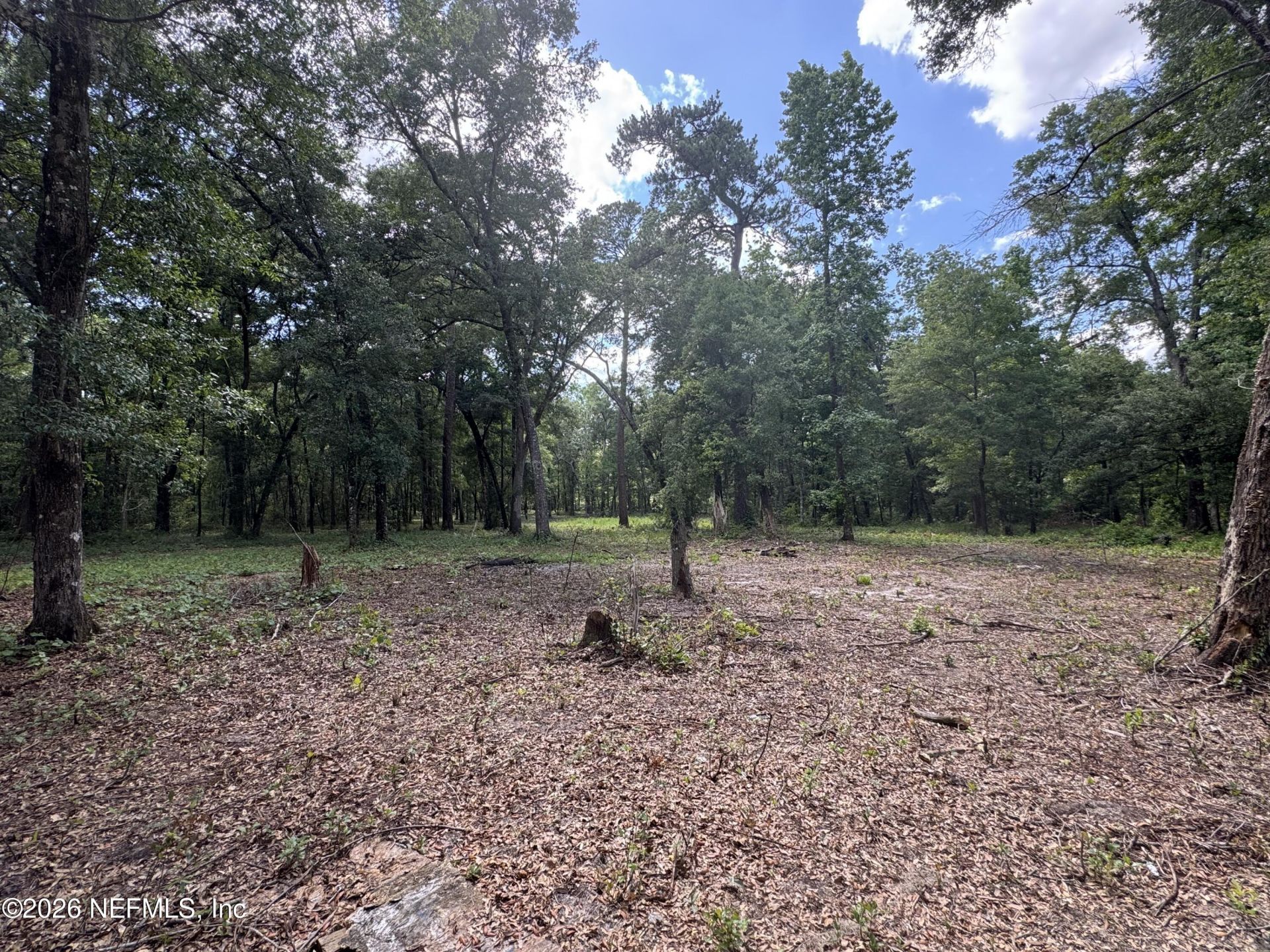 241 Indian Lakes Forest Road, Florahome, FL 32140 Photo