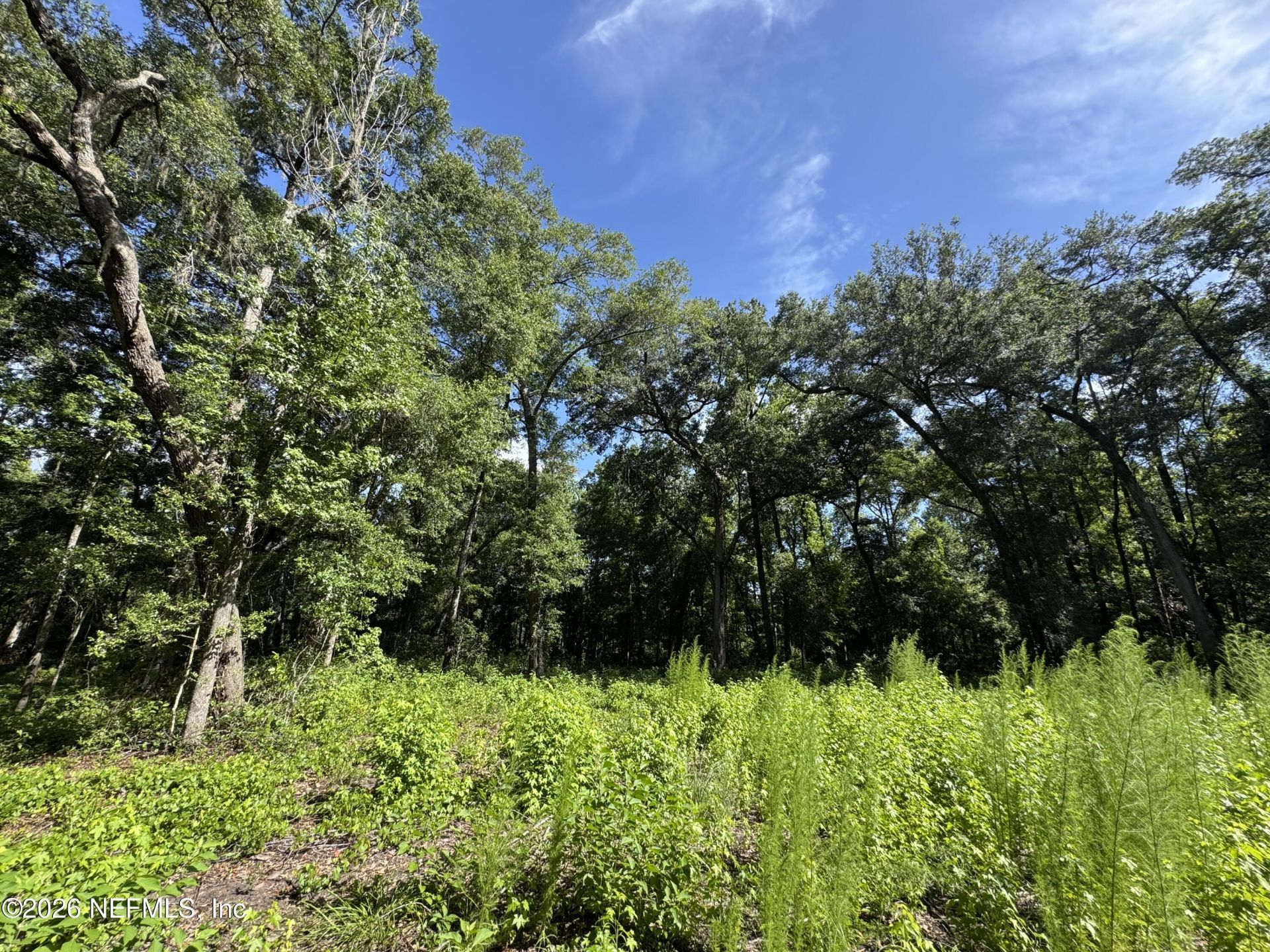 241 Indian Lakes Forest Road, Florahome, FL 32140 Photo
