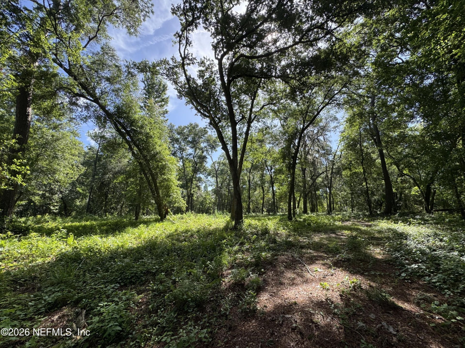 241 Indian Lakes Forest Road, Florahome, FL 32140 Photo